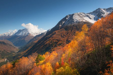 Schneebedeckte Berggipfel und gelber Herbstwald. Chegem-Schlucht im Nordkaukasus, Russland.
