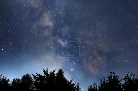Foto de Ilustración del cielo nocturno estrellado sobre las siluetas oscuras de los árboles - Imagen libre de derechos