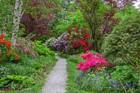 Téléchargez les photos : Sentier pédestre dans le Paulik Neighborhood Park à New Westminster City. Le sentier pédestre est situé sous les arbres sur une pelouse verte avec des parterres de fleurs parmi les arbustes à fleurs, Colombie-Britannique, Canada - en image libre de droit