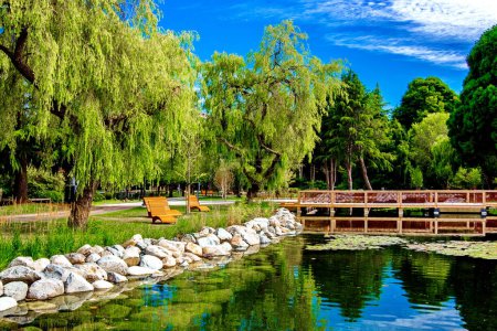 Photo for Recreation area with bench by the pond in the city park, a wooden bridge and a promenade over the water, a green tree and grass, buildings on the background of cloudy sky - Royalty Free Image