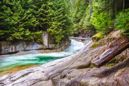 Ein Bach, der am felsigen Grund einer schmalen und tiefen Schlucht entlangfließt, die von grünem Wald bedeckt ist. Dieser Ort befindet sich im Golden Ears Park, Maple Pidge, Vancouver