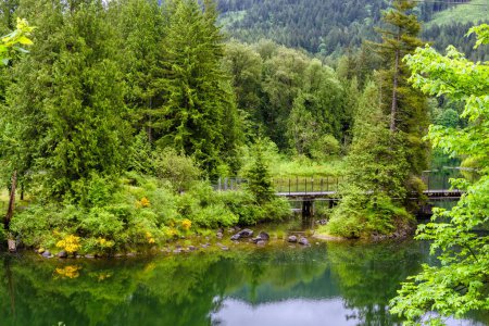Un puente sobre un pequeño arroyo forestal sobre el telón de fondo de un bosque verde y una ladera boscosa. Este lugar se encuentra en Hayward Lake Recreation Área en Maple Ridge