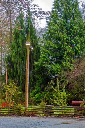 Photo for Resting place at Burnaby Lake Park in Burnaby City. Bench under the canopy of tree on a green lawn.  The clearing is decorated with a lantern turned on during the daytime - Royalty Free Image