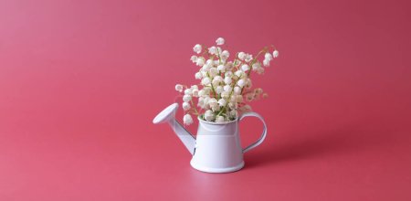 Téléchargez les photos : Lilies of the valley bouquet in a decorative watering can on a magenta background. - en image libre de droit
