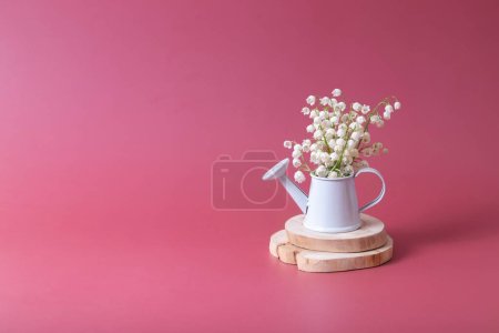 Spring, Mother's Day or March 8 still life composition with lilies of the valley bouquet in a decorative watering can on a magenta background