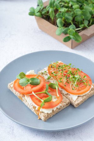 Photo for Sandwich with cheese, tomato and sunflower and alfalfa microgreens. - Royalty Free Image