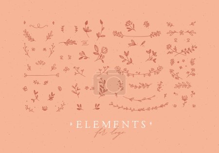 Téléchargez les illustrations : Elements flowers and branches to create label or sign in hand drawing style. Coral color background. - en licence libre de droit