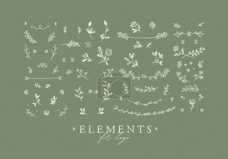 Illustration for Elements flowers and branches to create label or sign in hand drawing style. Green color background. - Royalty Free Image