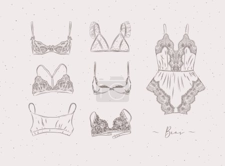 Illustration for Lace sexy bras collection drawn in graphic style on beige color background - Royalty Free Image
