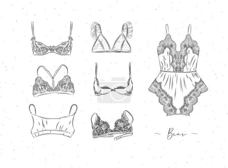 Illustration for Lace sexy bras collection drawn in graphic style on white color background - Royalty Free Image