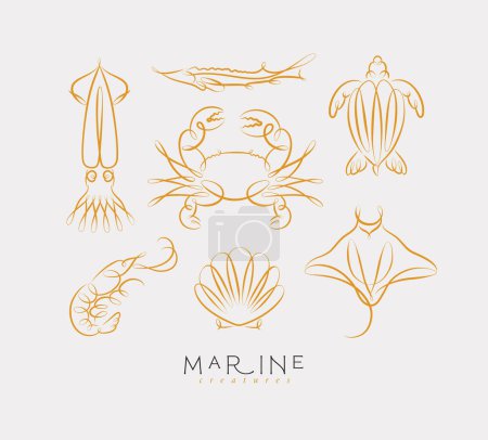 Téléchargez les illustrations : Tourbillon filigrane créatures marines et océaniques calmar, poisson, crabe, tortue, crevettes, raie, coquille, pétoncle dessin sur fond clair - en licence libre de droit