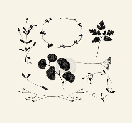 Illustration for Branches and leaves silhouettes set drawing on beige background - Royalty Free Image