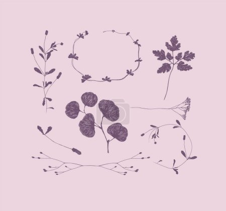 Téléchargez les illustrations : Branches et feuilles silhouettes serties de dessin sur fond violet - en licence libre de droit
