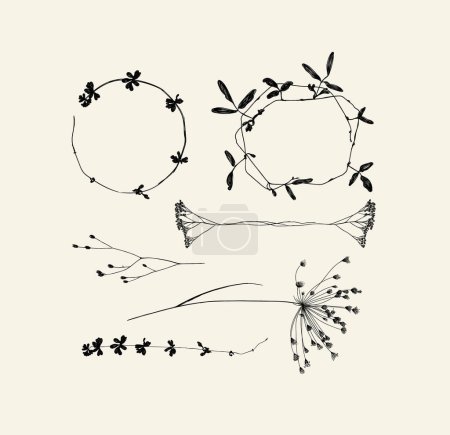 Illustration for Branches leaves and flowers silhouettes set drawing on beige background - Royalty Free Image