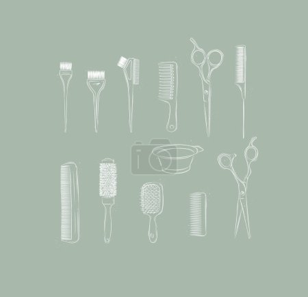 Illustration for Hairdresser comb types and hair dye brushes collection drawing on green background - Royalty Free Image