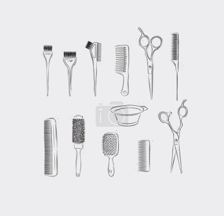 Illustration for Hairdresser comb types and hair dye brushes collection drawing on light background - Royalty Free Image