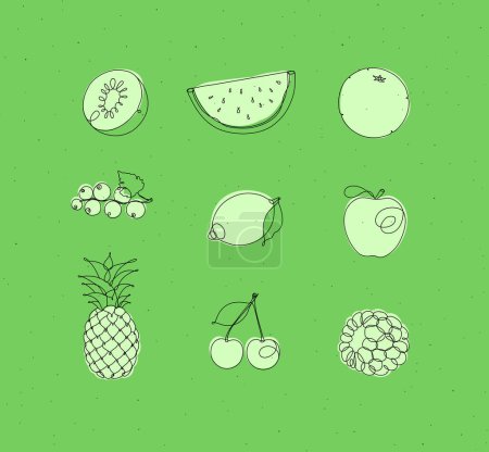 Téléchargez les illustrations : Icônes de fruits kiwi, pastèque, orange, groseille, citron, pomme, ananas, cerise, framboise dessin en style linéaire sur fond vert - en licence libre de droit