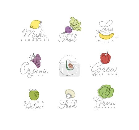 Illustration for Label vegetables and fruits lemon, beet, banana, grapes, avocado, pepper, apple, champignons, cabbage with text drawing with color in linear style on white background - Royalty Free Image