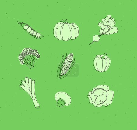 Téléchargez les illustrations : Légumes icônes pois, citrouille, radis, brocoli, maïs, poivre, poireau, champignon, chou dessin en style linéaire sur fond blanc - en licence libre de droit