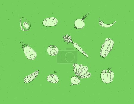 Téléchargez les illustrations : Légumes icônes avocat, pomme de terre, oignon, chili, aubergine, tomate, carotte, laitue, concombre, ail, betterave, poivre dessin en style linéaire sur fond vert - en licence libre de droit