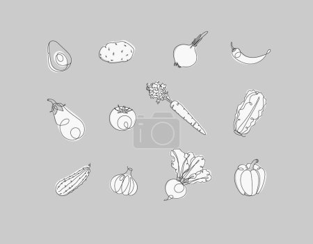 Téléchargez les illustrations : Légumes icônes avocat, pomme de terre, oignon, chili, aubergine, tomate, carotte, laitue, concombre, ail, betterave, poivre dessin en style linéaire sur fond gris - en licence libre de droit