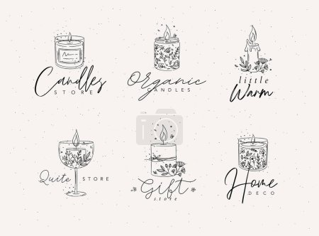 Illustration for Candles with branches and leaves label collection drawing on light background - Royalty Free Image