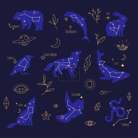Illustration for Celestial bodies signs and text. Group of stars forming a recognizable pattern, constellations with explanation. Planet and moon, floral decoration and leaves, comet and eye. Vector in flat style - Royalty Free Image