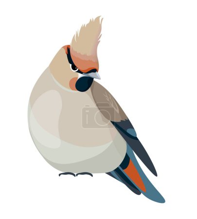 Illustration for Avian animals with plumage, isolated songbird with colorful feathers on body and tail. Species of woodlands or natural habitats, portrait of wild species of nature. Vector in flat style illustration - Royalty Free Image