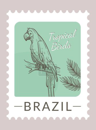 Illustration for Postmark or postcard with flora and fauna of Brazil. Tropical birds and leaves foliage. Postal mark or card, mailing letter and correspondence. Monochrome sketch outline. Vector in flat style - Royalty Free Image