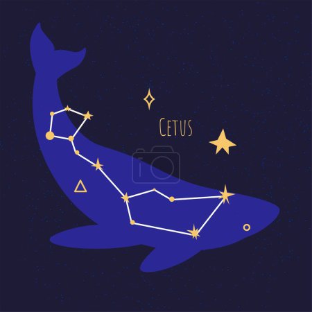 Illustration for Star formation or pleiad making shape of whale. Constellation of cetus, astrology and exploration of celestial bodies and objects in cosmos and space universe. Vector in flat style illustration - Royalty Free Image