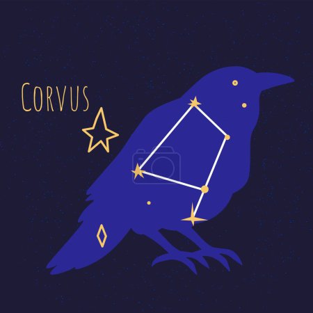 Illustration for Star shape in form of bird, pleiad of celestial bodies or objects forming crow. Constellation of corvus, astrology exploring and giving names of formations and planets in space. Vector in flat style - Royalty Free Image