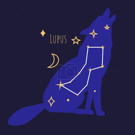 Illustration for Star formation of the wolf, isolated Constellations of lupus on night dark sky. Astronomy and space celestial bodies and objects exploration in cosmos and universe galaxy. Vector in flat style - Royalty Free Image