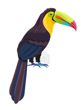 Tropical avian animal, isolated exotic bird with large beak and claws. Fauna and wilderness of warm countries. Character with colorful plumage and feathers, long bright tail. Vector in flat style