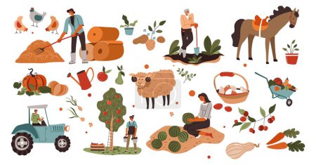 Illustration for Working on field, agriculture and farming, using machinery and equipment for harvesting. Gathering apples, feeding animals and tending crops, vegetables and ripe fruits. Vector in flat style - Royalty Free Image