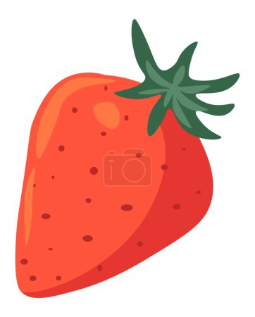 Ilustración de Deliciosa baya de fresa con hojas, alimentos sanos y orgánicos aislados. Dulces y postres de temporada. Dieta y nutrición, crecimiento de frutas y productos agrícolas. Vector en estilo plano - Imagen libre de derechos