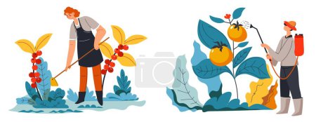 Illustration for Farming and agriculture, growing natural and organic products. Using pesticides spray or watering from can. Tomatoes and berries on bush. Fertilizing crop and botany plants. Vector in flat style - Royalty Free Image