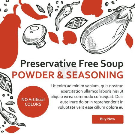 Illustration for Vegan and vegetarian meal, preservative free soup powder and seasoning. No artificial colors, healthy organic ingredients for cooking. Online internet shop, website sample, vector in flat style - Royalty Free Image