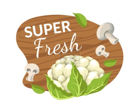 Illustration for Vegetables and fresh food, tasty and nutritious meal for vegans and vegetarians. Isolated cauliflower and mushrooms, basil leaves herbs and spices. Logotype logo design. Vector in flat style - Royalty Free Image