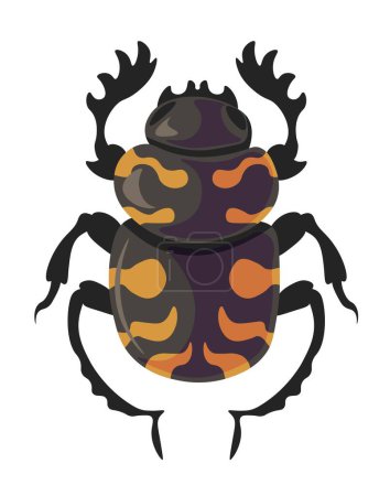 Ilustración de Especies y tipos de insectos, escarabajo carroñero aislado con patas y patrón en el cuerpo. Silvestre y naturaleza, medio ambiente y biodiversidad natural. Zoología y tipos de animales. Vector en estilo plano - Imagen libre de derechos