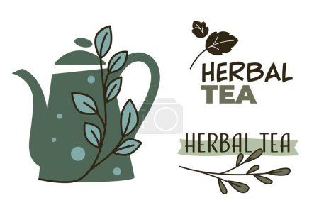 Illustration for Organic and natural beverage brewed in kettle or ceramic teapot. Isolated herbal tea drink with mint and herbs. Tasty and aromatic liquid, healthy dieting and detox for body. Vector in flat style - Royalty Free Image