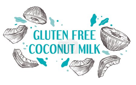 Illustration for Beverage for vegan or people with celiac disease or gluten sensitivity. Dairy free coconut milk, plant product. Promotional banner or logotype, logo or label, emblem for package. Vector in flat style - Royalty Free Image