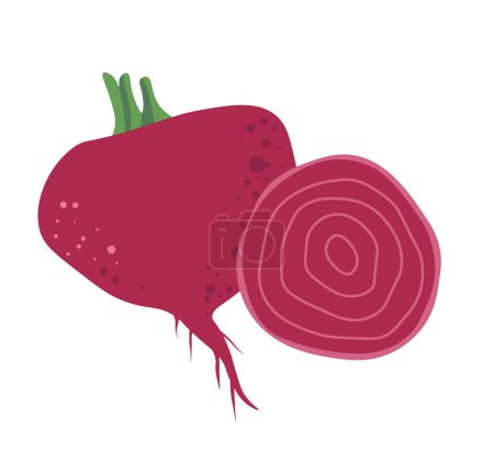 Red beets natural source of energy, and nutrients. Rich natural sugar, and vitamins to lower blood pressure and improve circulation. Vegetable for balanced diet. Isolated icon vector in flat style