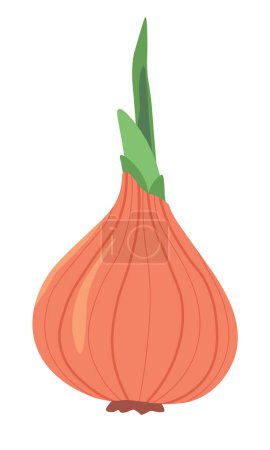 Illustration for Bulb of onion with sprouting green leaves. Ingredient for preparing soups, salads, and culinary masterpieces. Valuable vitamin product, antioxidant. Healthy food. Isolated icon vector in flat style - Royalty Free Image