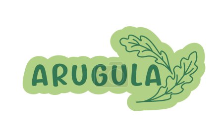 Illustration for Arugula leaf vector, isolated on white, great for food blogs, health articles, restaurant menus. - Royalty Free Image