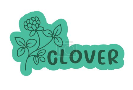 Clover botanical vector on white, ideal for environmental themes, educational graphics.