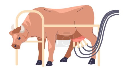Automation at farm, isolated cow with suction machine attached to udder. Production of milk, ecological and natural process. Mammal in good conditions milking. Vector in flat style illustration