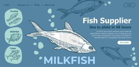 Variety of fish, supplier of products for restaurants and cafe. Milkfish and redfish, tilapia and tuna, variety and assortment in online shop. Website or landing page with monochrome sketch, vector