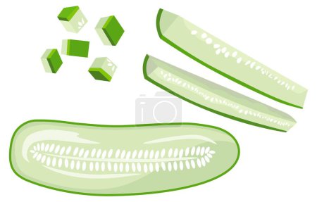 Illustration for Making salad or cooking using cucumber, isolated chopped vegetable pieces and slices. Vegetarian and vegan diet, meal and nutrition for healthy living. Natural and organic product, vector in flat - Royalty Free Image