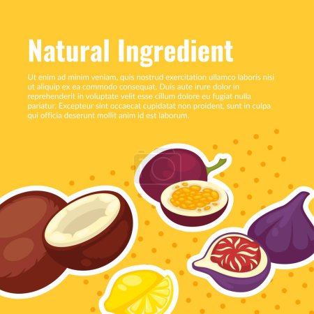 Organic and natural food, healthy ingredients in dieting or nutrition, balanced eating. Coconut and tropical fruits. Promo poster with text, advertisement for food presentation. Vector in flat style