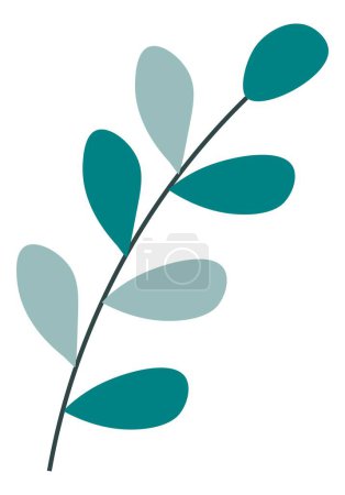 Illustration for Organic and natural symbol, isolated evergreen branch with leaves and foliage. Lush greenery on twig, herbs and decor for holidays.Floral composition botany design. Vector in flat style illustration - Royalty Free Image